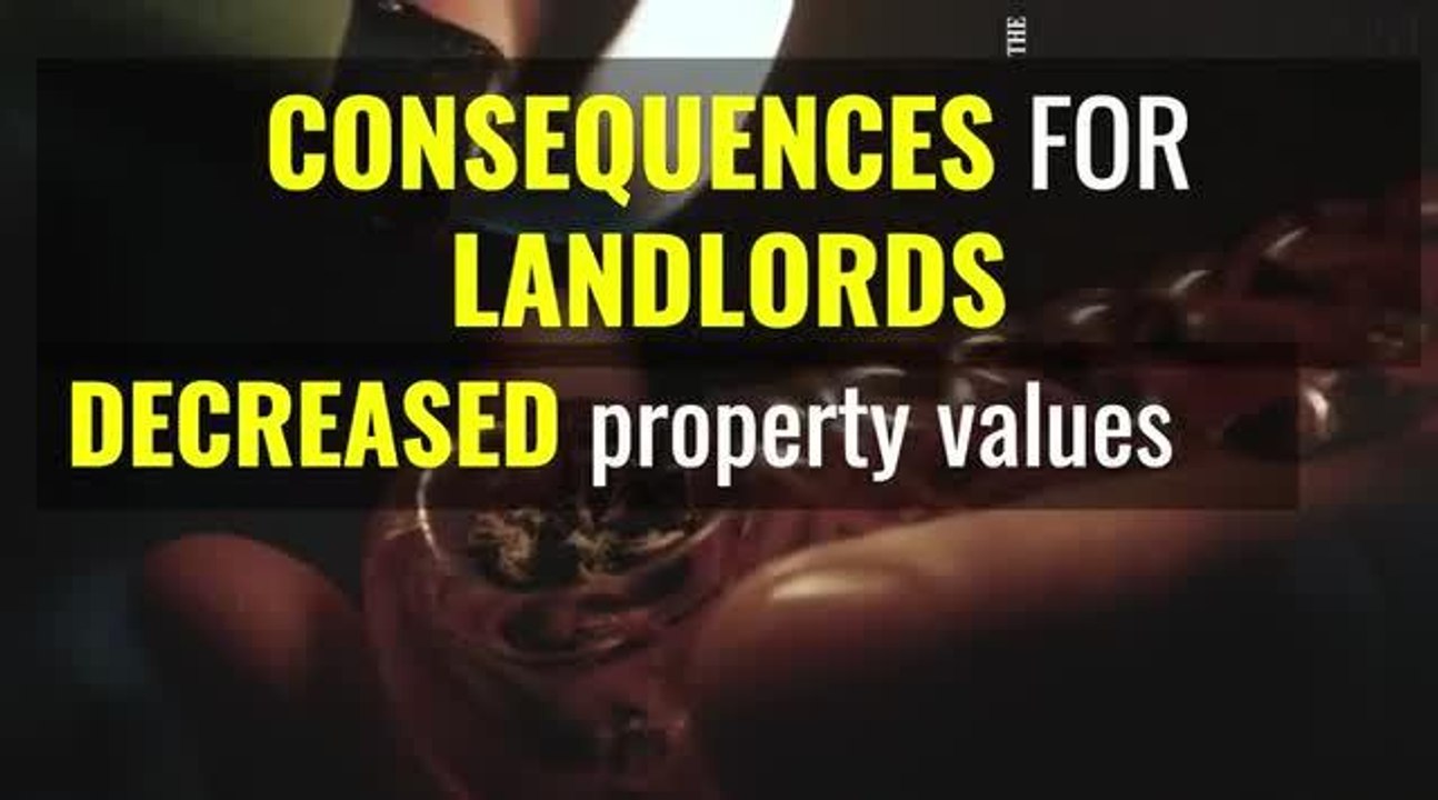 Neighbours smoking cannabis video Dailymotion