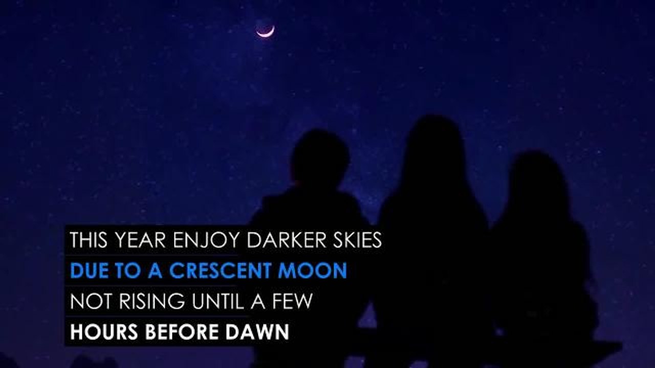 2017 Geminid Meteor Shower