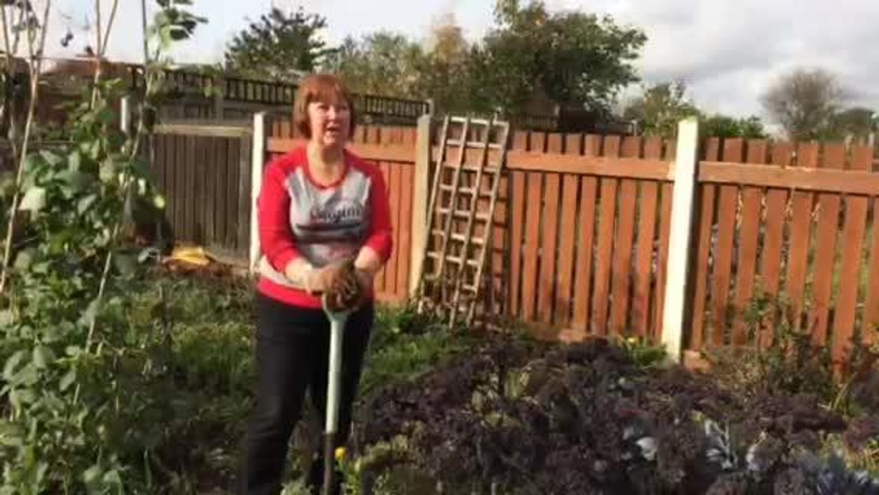 Allotments