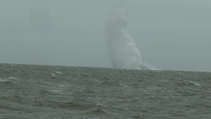 Navy detonate London airport bomb