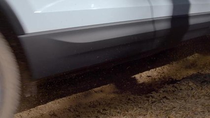 The New Skoda Karoq