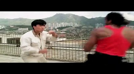 Donnie Yen vs. Michael Woods