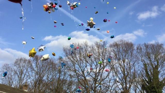 Birthday balloons released to mark David Molloy's birthday eight days after his death