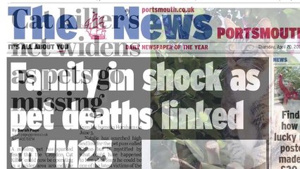 Video : m25 Cat Kill Timeline