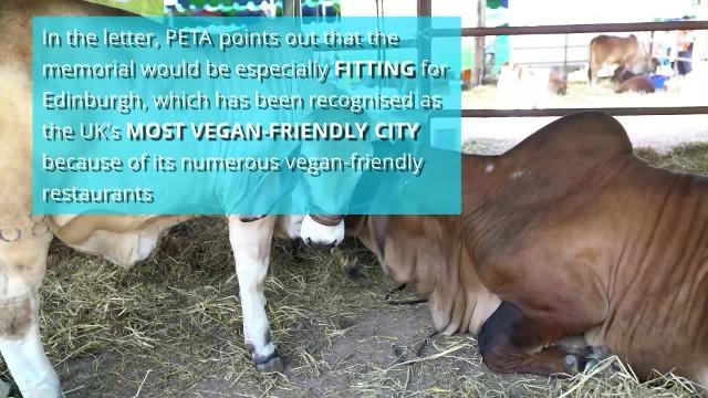 PETA Ask Council for Permission to Place Plaque ‘in Memory of Cows’ at Slaughterhouse Site