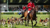 Great Yorkshire Show 160th anniversary