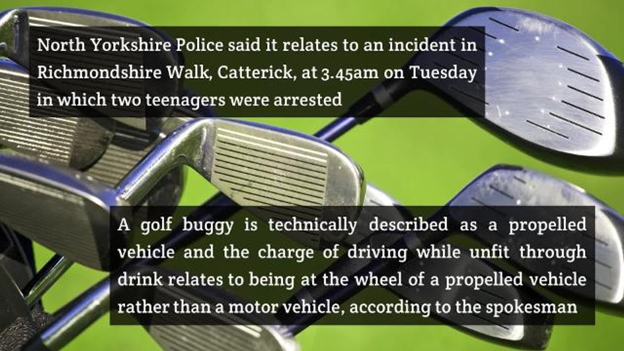 Teenager Charged With Drink Driving Over McDona...