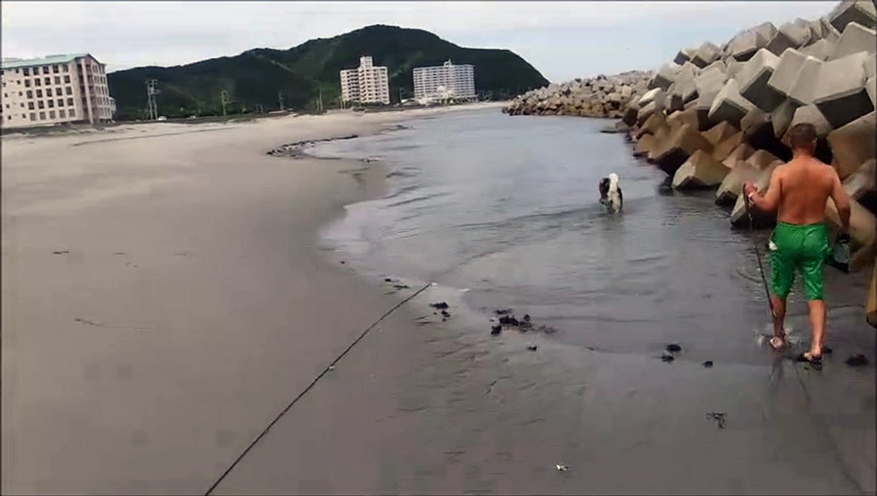 竜宮の磯
