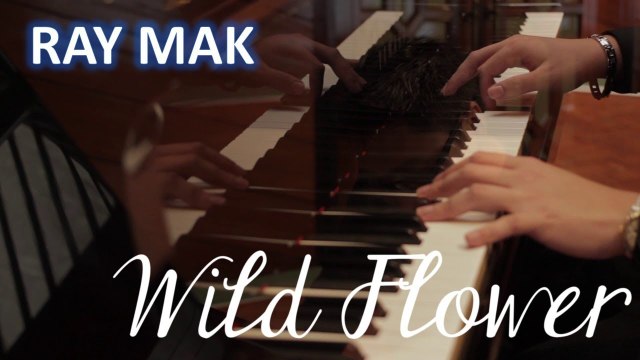 Park Hyo Shin 박효신 - Wild Flower 야생화 Piano by Ray Mak