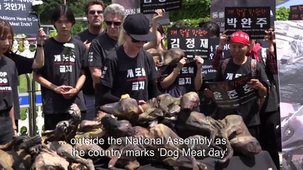 Basinger hits out at Korean dog farming