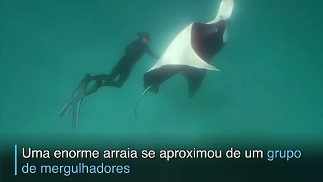 Cena impressionante