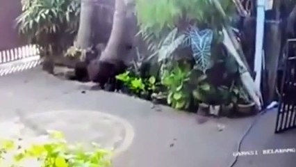 Shocking CCTV footage shows 6.2 magnitude earthquake in Bali