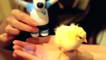 의정부출장안마 -후불100%ョØ7ØS7333S9649｛카톡LGT010｝ 의정부전지역출장안마 의정부오피걸 의정부출장마사지 의정부안마 의정부출장마사지 의정부콜걸샵≫√▼