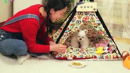의정부출장안마 -후불100%ョØ7ØS7301S9649｛카톡LA25｝ 의정부전지역출장안마 의정부오피걸 의정부출장마사지 의정부안마 의정부출장마사지 의정부콜걸샵‡♭