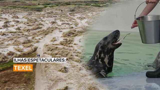 Ilhas espetaculares: Texel