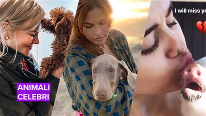 Le star e i loro animali domestici