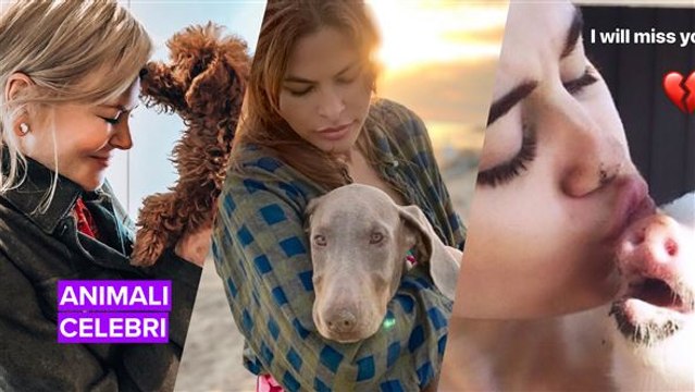 Le star e i loro animali domestici