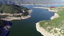 Samsun’da baraj gölünde toplu balık ölümleri