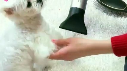 원주출장안마 -후불100%ョØ1ØE6706E9275｛카톡FX24｝ 원주전지역출장안마 원주오피걸 원주출장마사지 원주안마 원주출장마사지 원주콜걸샵スズセ