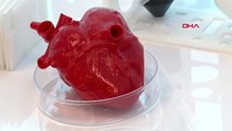 İSTANBUL- Türk bilim insanları kök hücre ve 3D biyo-yazıcı ile 'kalp' üretecek