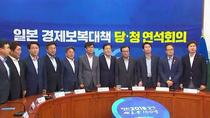 당·청, 日 수출 규제 대응 연석회의 / YTN