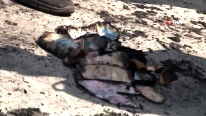 Yanan lüks araçla birlikte 60 bin lira da kül oldu