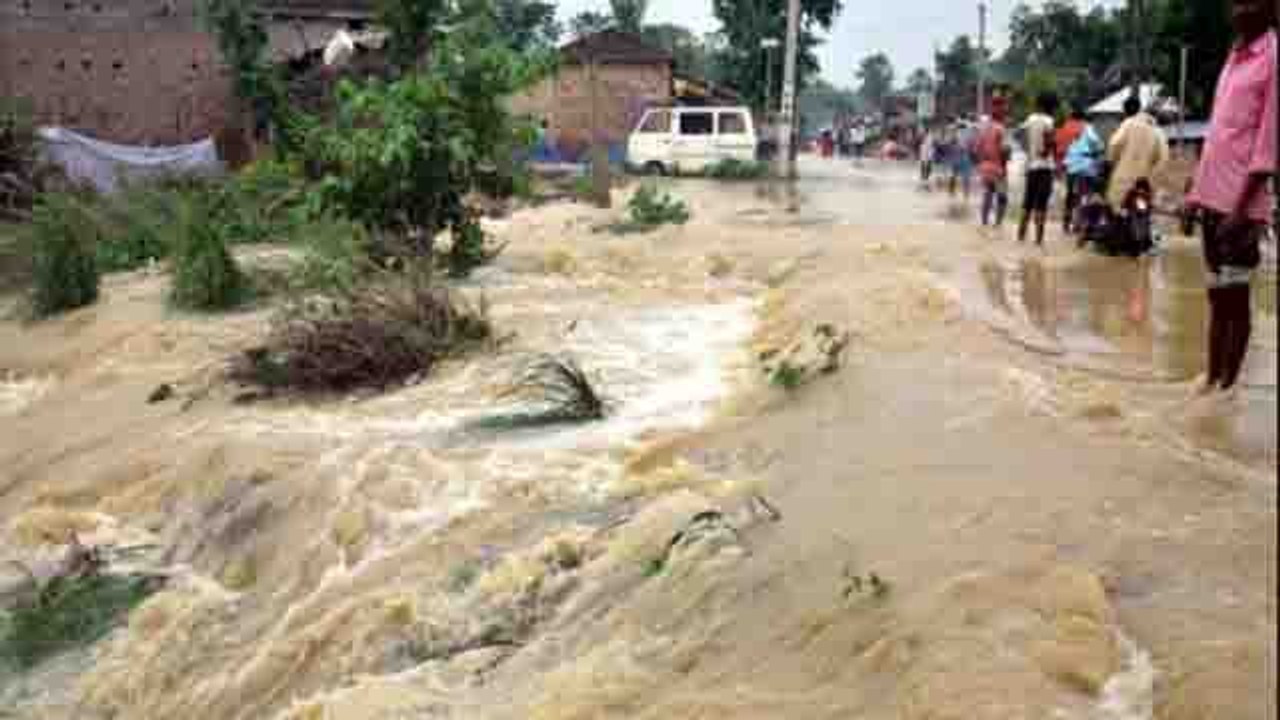Assam Floods में फंसे 43 लाख लोग, Kaziranga National Park 95 % डूबा । वनइंडिया हिंदी