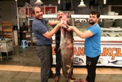 Baraj gölünde 100 kilo ağırlığında, 2 metre boyunda dev yayın balığı yakalandı