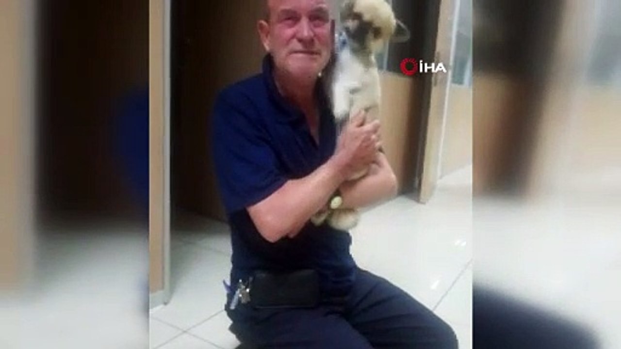 Çalınan köpek sahibine böyle kavuştu! Duygu dolu anlar