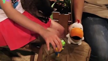 태백출장안마 -후불100%ョØ1ØA8109A5900｛카톡GD825｝ 태백전지역출장안마 태백오피걸 태백출장마사지 태백안마 태백출장마사지 태백콜걸샵ヅテデ