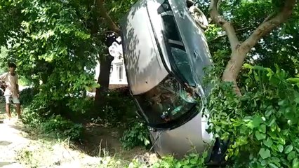 एक्सीडेंट हुआ ऐसा कि पेड़ पर चढ़कर लटक गई कार, बच गई लोगों की जान