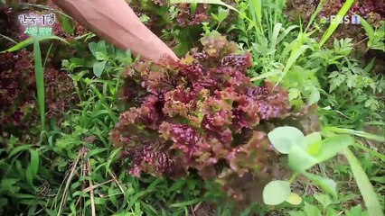 한국기행 - Korea travel_시골달인 2부- 자연밥상의 고수_#002