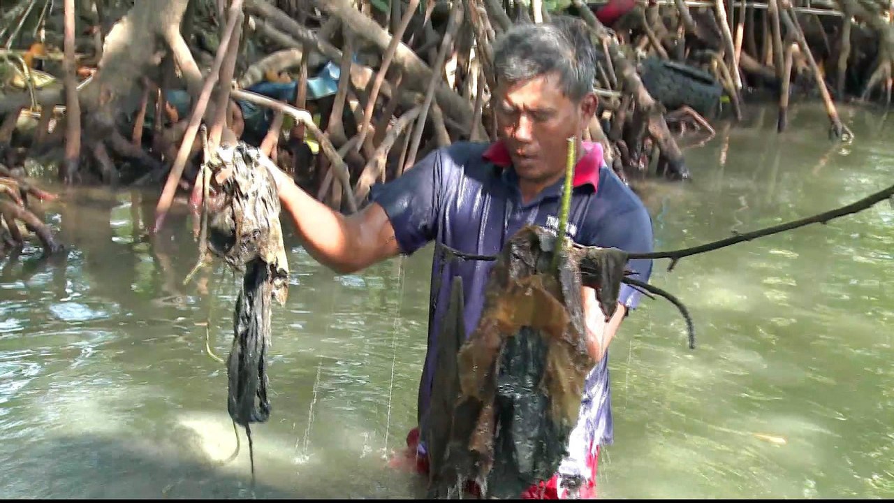 Indonesian plastic waste pollution threatens fish stocks