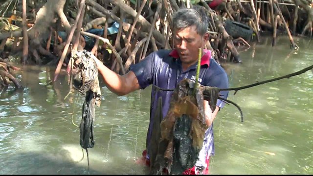 Indonesian plastic waste pollution threatens fish stocks