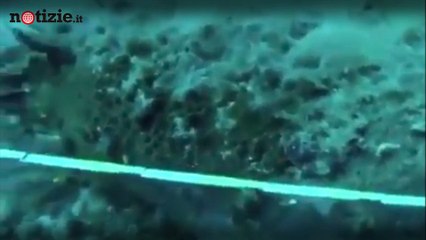 Sardegna, il misterioso ritrovamento sul fondale | Notizie.it