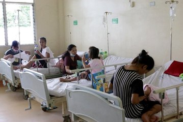 Filipinler'de dang humması salgını nedeniyle 456 kişi öldü, 2 milyon çocuk ise risk altında