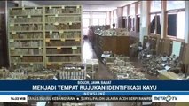 Melihat Perpustakaan Kayu Terlengkap di Dunia