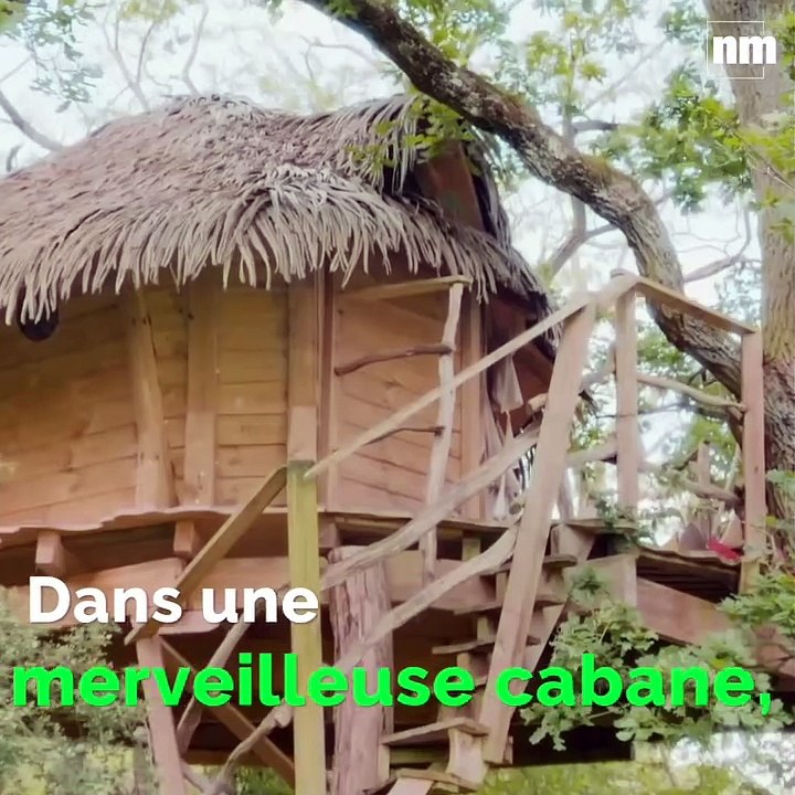 Comment la série "La cabane à histoires" donne envie de lire aux enfants