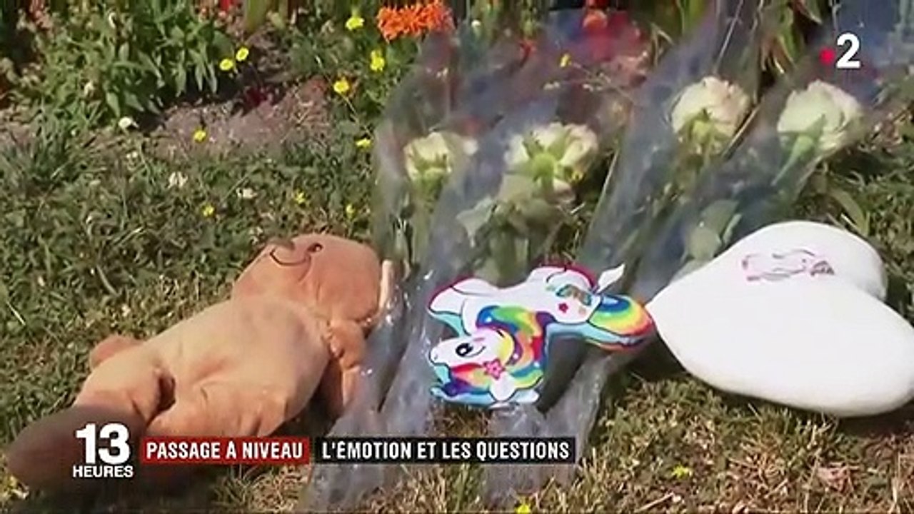 Accident sur un passage à niveau dans la Marne : un drame et des questions
