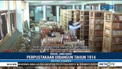 Melihat Perpustakaan Kayu Terlengkap di Dunia