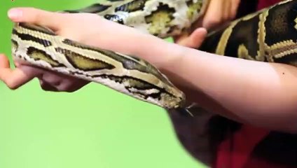 완산구출장안마 -후불100%ョØ1ØE7362E3210｛카톡RQ43｝ 완산구전지역출장안마 완산구오피걸 완산구출장마사지 완산구안마 완산구출장마사지 완산구콜걸샵ヂッツ