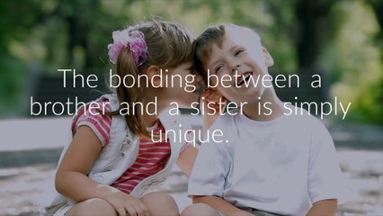 Choose Best Rakhi Gift For Brother with Rakhibazaar.com