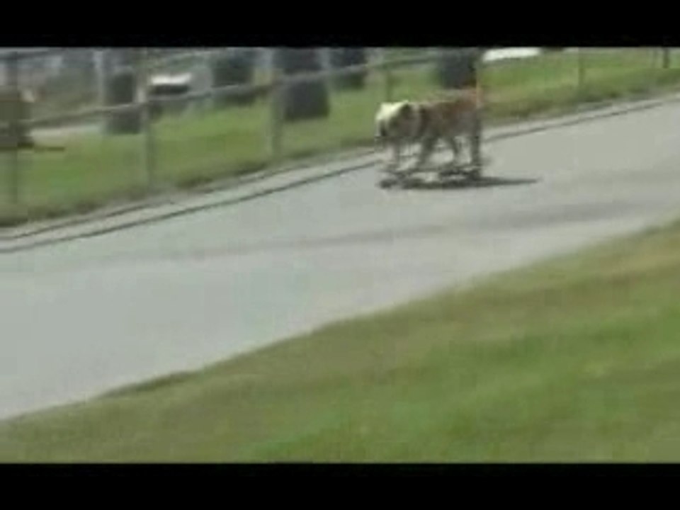 Bulldogopskateboard