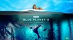 Blue Planet II Live In Concert touring UK arenas in 2019