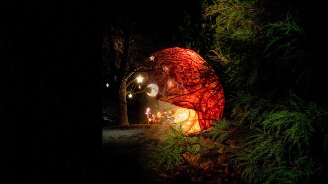 Glow Wild 2018 at Wakehurst