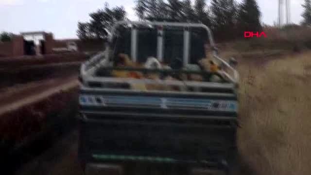 KİLİS İHH'den Suriyeli ailelere canlı hayvan desteği