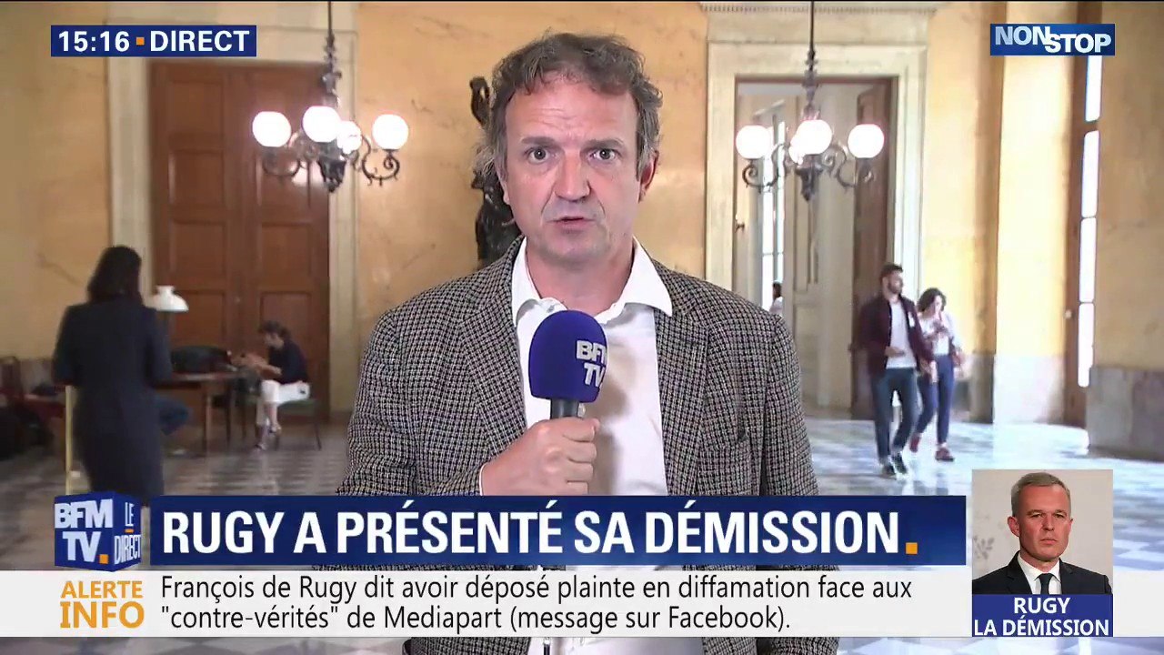 "Le mandat de François de Rugy n'était plus tenable", estime l'un de ses anciens collaborateurs chez EELV