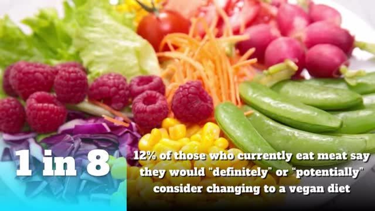 Facts about vegans