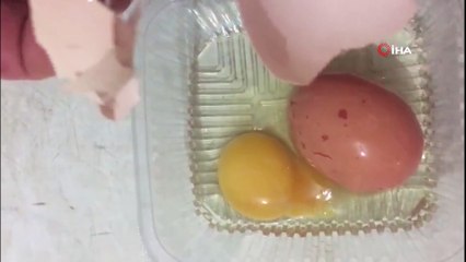 Matruşka yumurta... Yumurtanın içinden yumurta çıktı