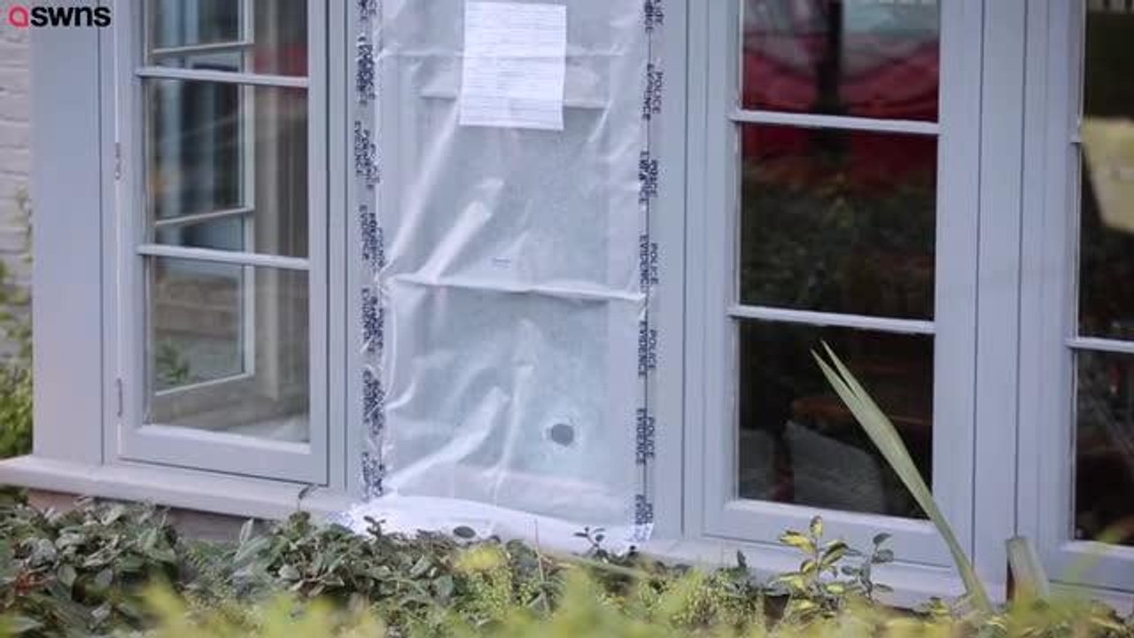 VIDEO: Boxer shot dead